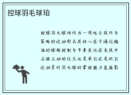控球羽毛球珀